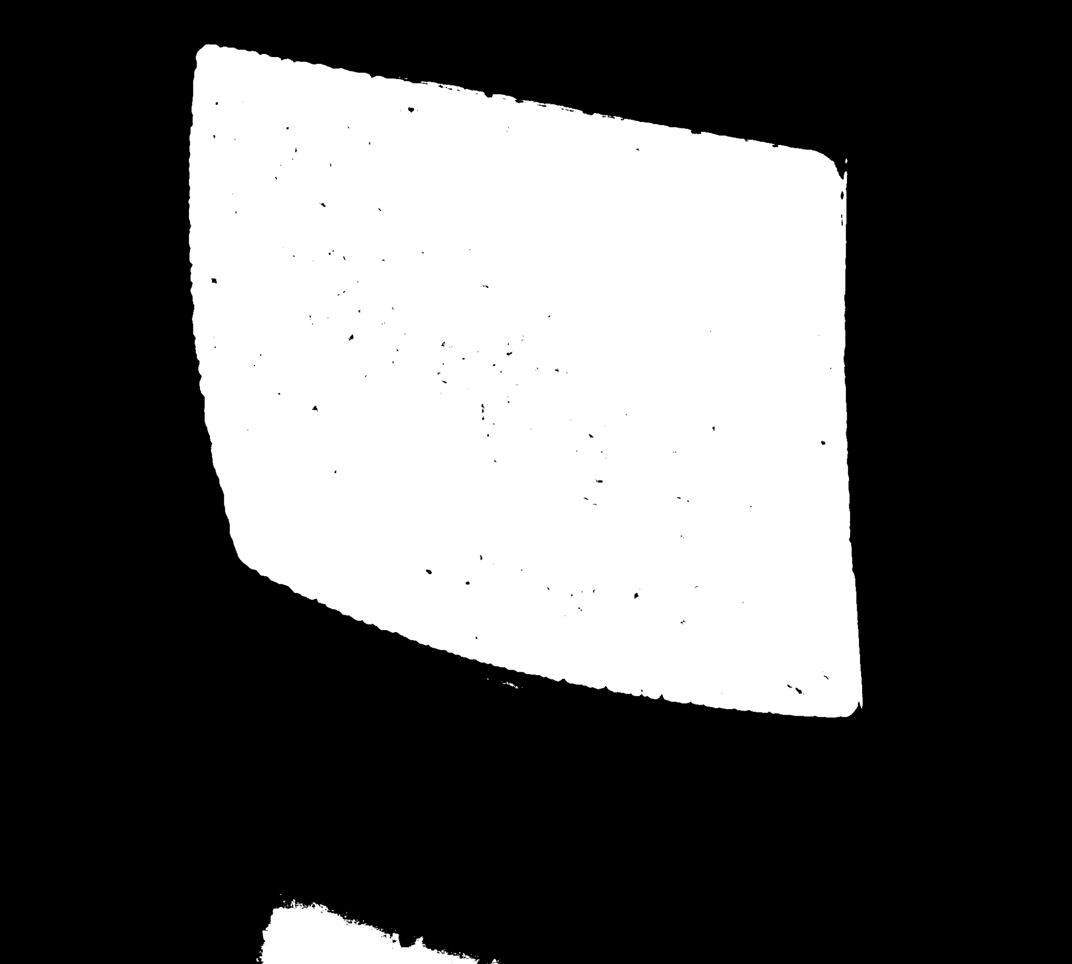 A television displaying static